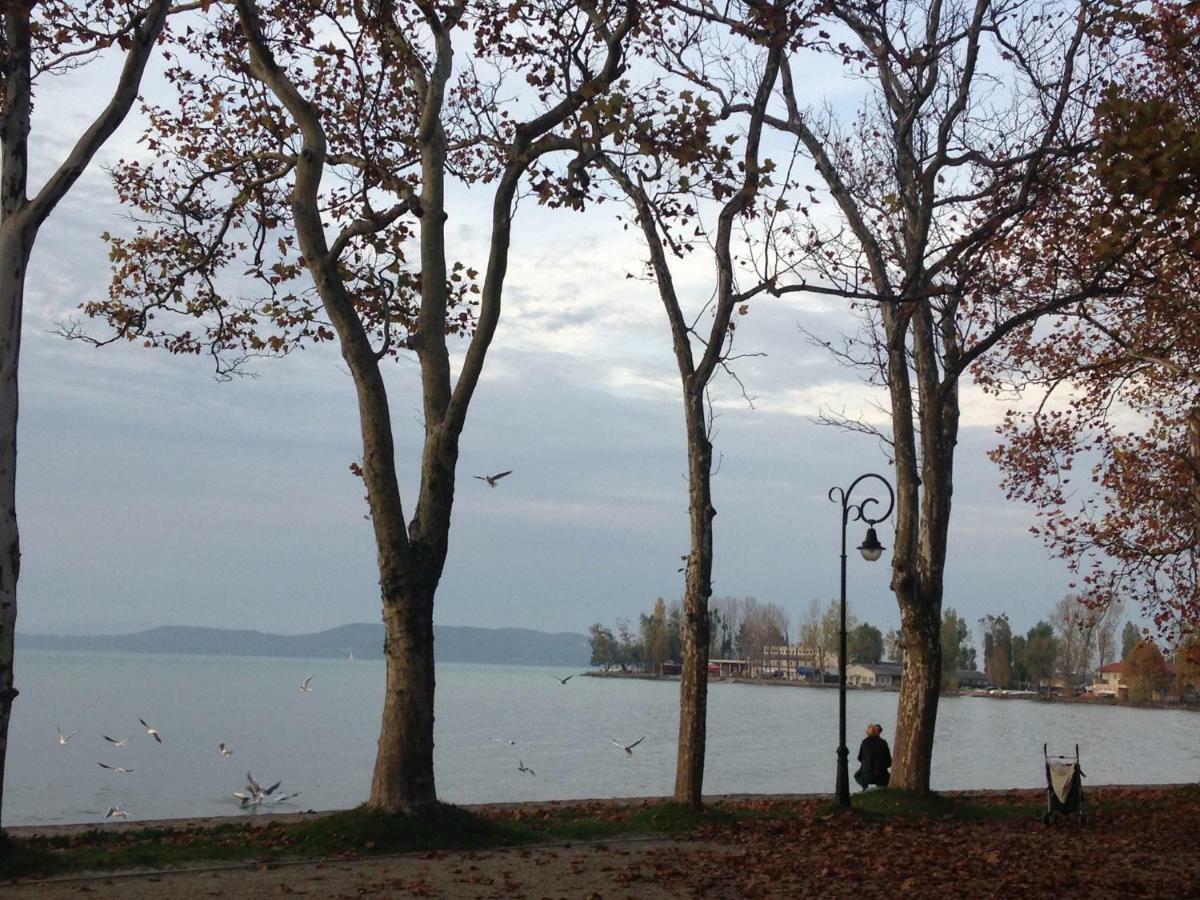 Tamas Apartman Balatonfoeldvar Sziveben- Egesz Evben Nyitva! Dış mekan fotoğraf